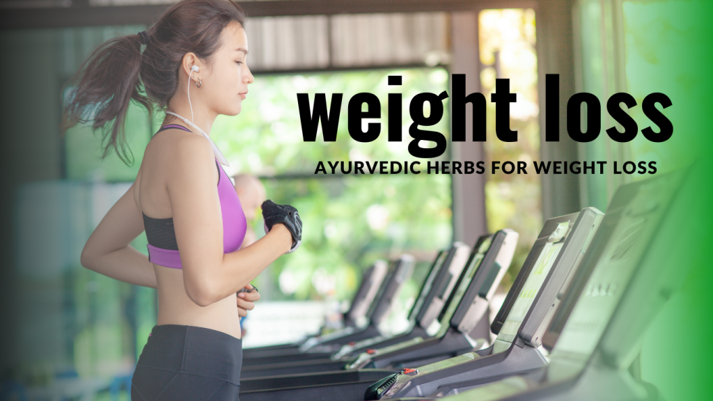 Current image: ayurvedic herbs for weight loss