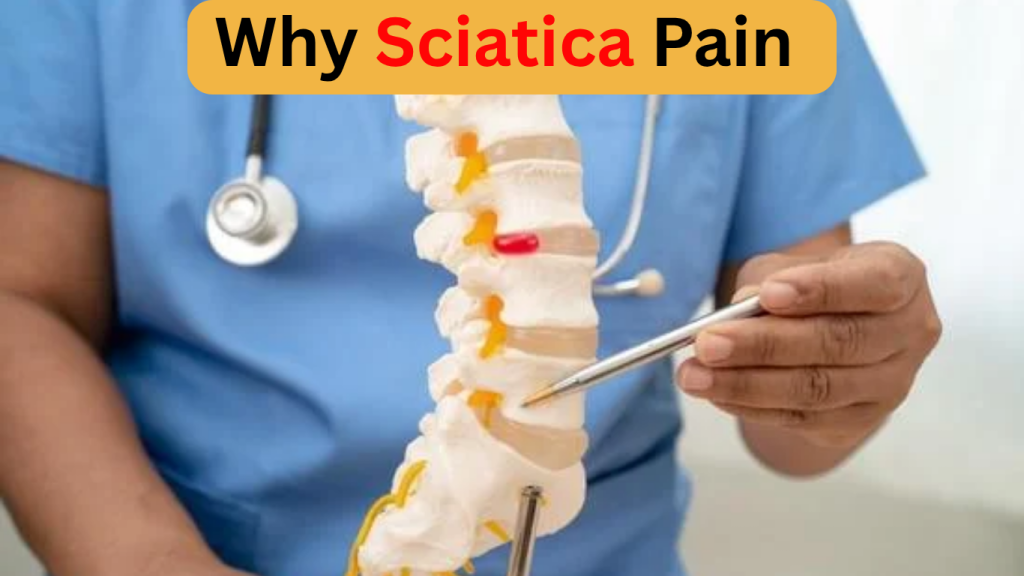 Current image: Sciatica: Ayurvedic Panchakarma Treatment for Long-Lasting Relief