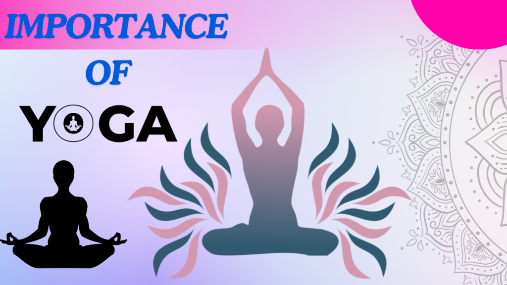 Current image: the Power of Yoga: History, Importance, and Top Yoga Asanas
